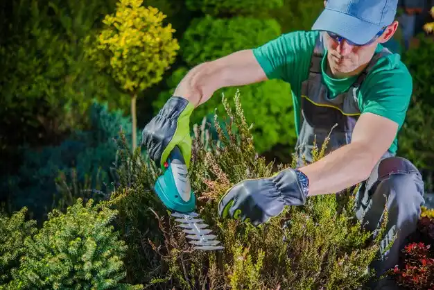 landscaping services Beloit